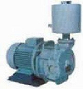 Водокольцевой вакуумный насос ВВН 1-0,75