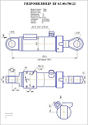 Гидроцилиндр ЦГ-63.40х780.22