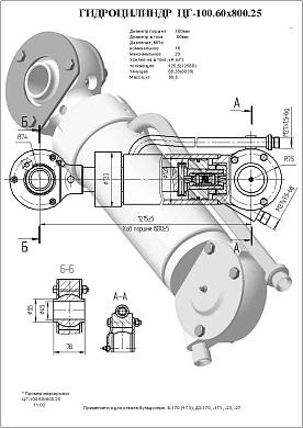 Гидроцилиндр ЦГ-100.60х800.25