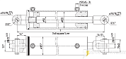 Гидроцилиндр МС100/50х600-3(4).22(915)
