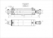 Гидроцилиндр ЦГ-100.40х600.01
