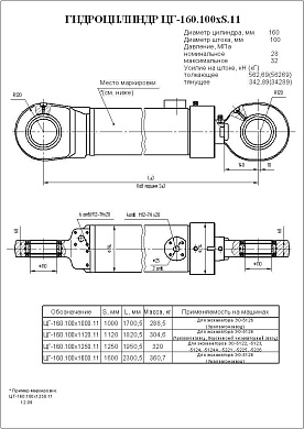 Гидроцилиндр ЦГ-160.100х1000.11