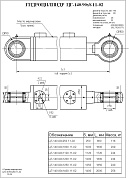 Гидроцилиндр ЦГ-140.90х1250.11-02