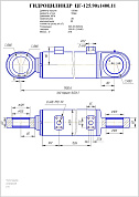 Гидроцилиндр ЦГ-125.90х1400.11